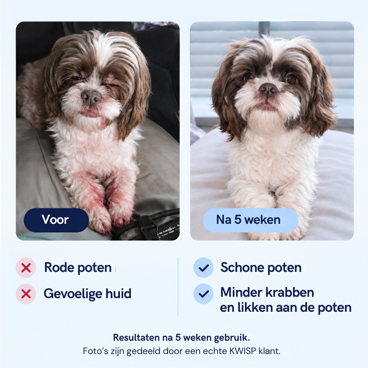 Voor honden die blijven krabben, likken of bijten