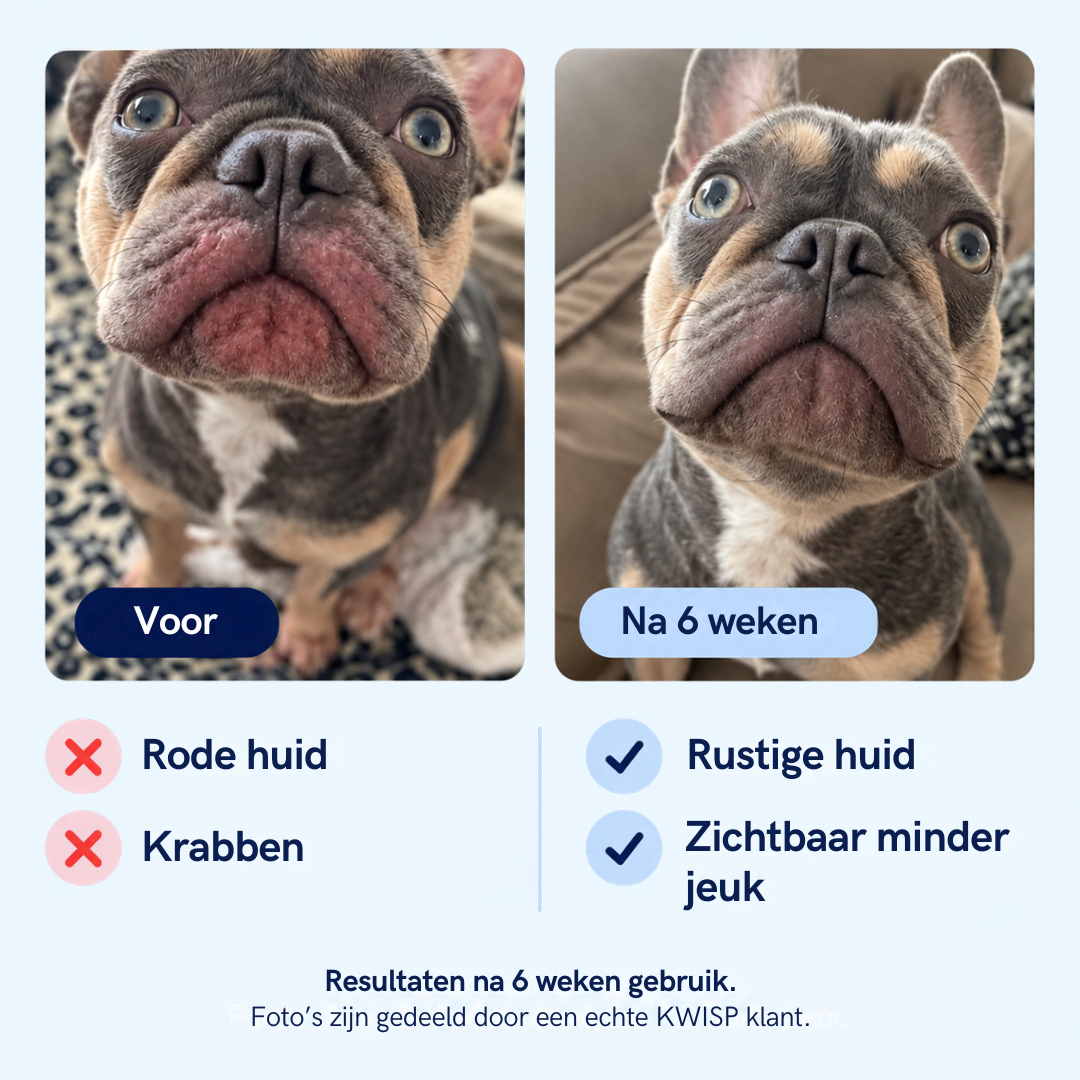 Voor honden die blijven krabben, likken of bijten