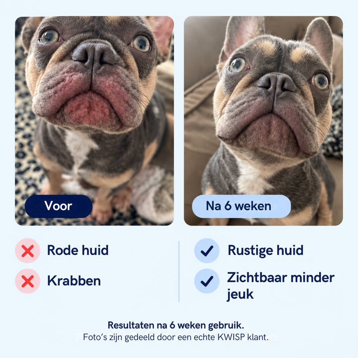 Voor honden die blijven krabben, likken of bijten