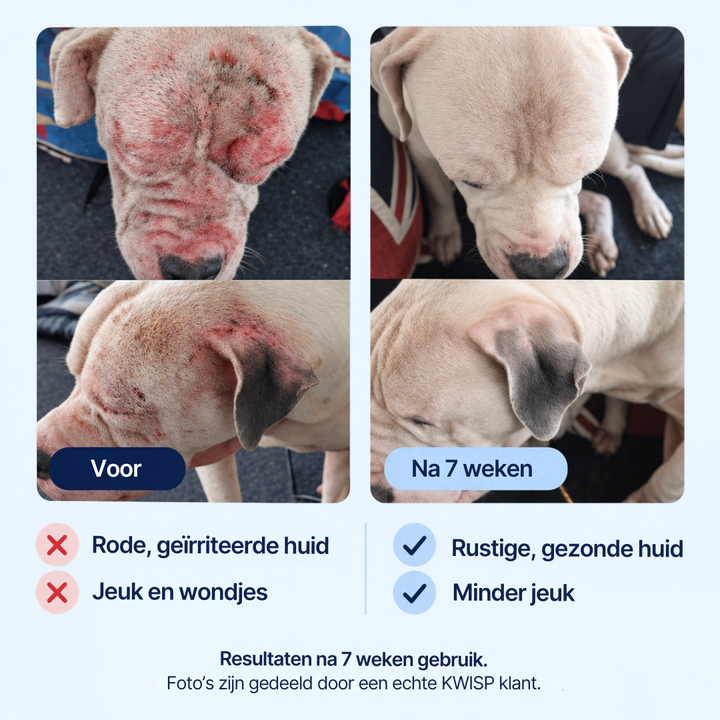 Voor honden die blijven krabben, likken of bijten
