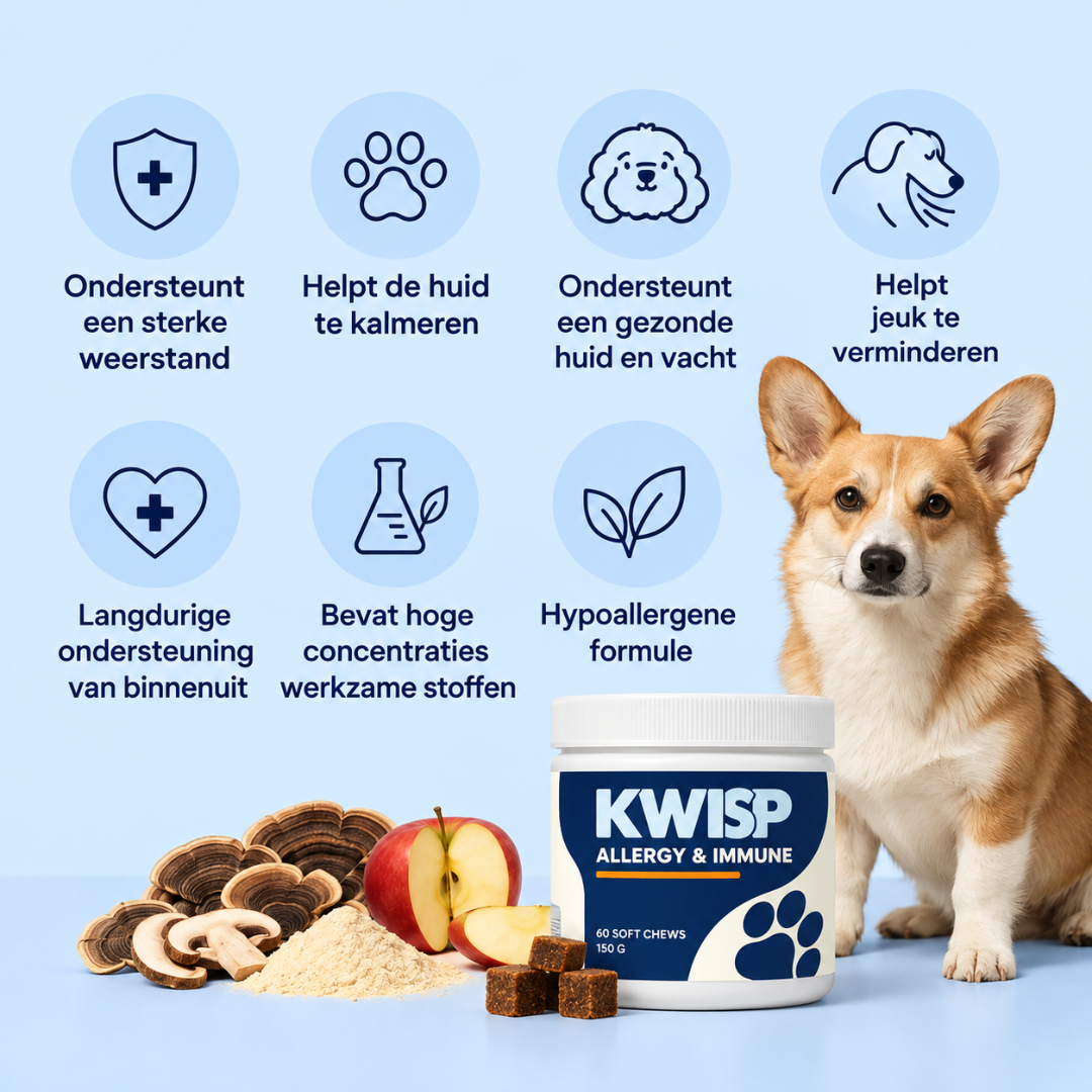 Voor honden die blijven krabben, likken of bijten